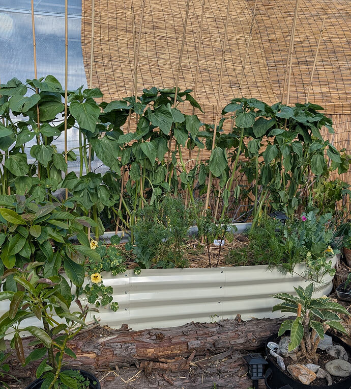 PXL_20260604_234514912