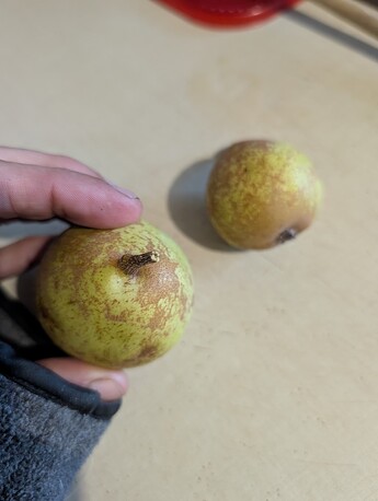 PXL_20251007_184051687