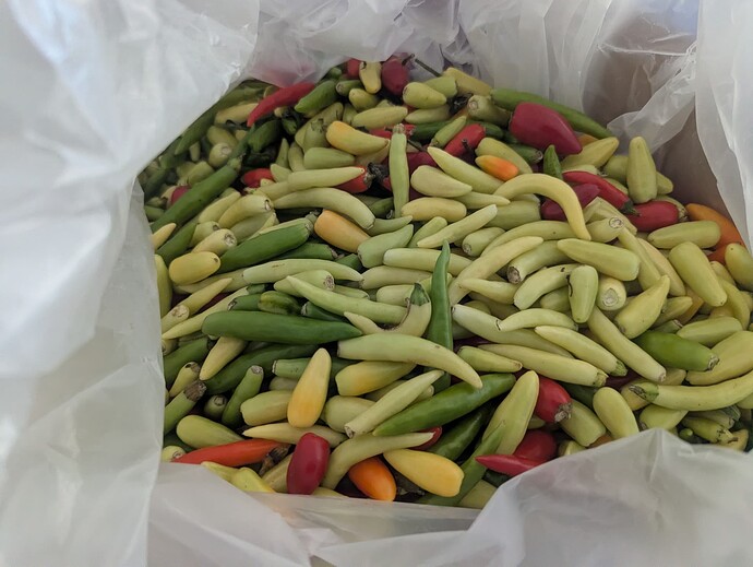 PXL_20251102_192903093