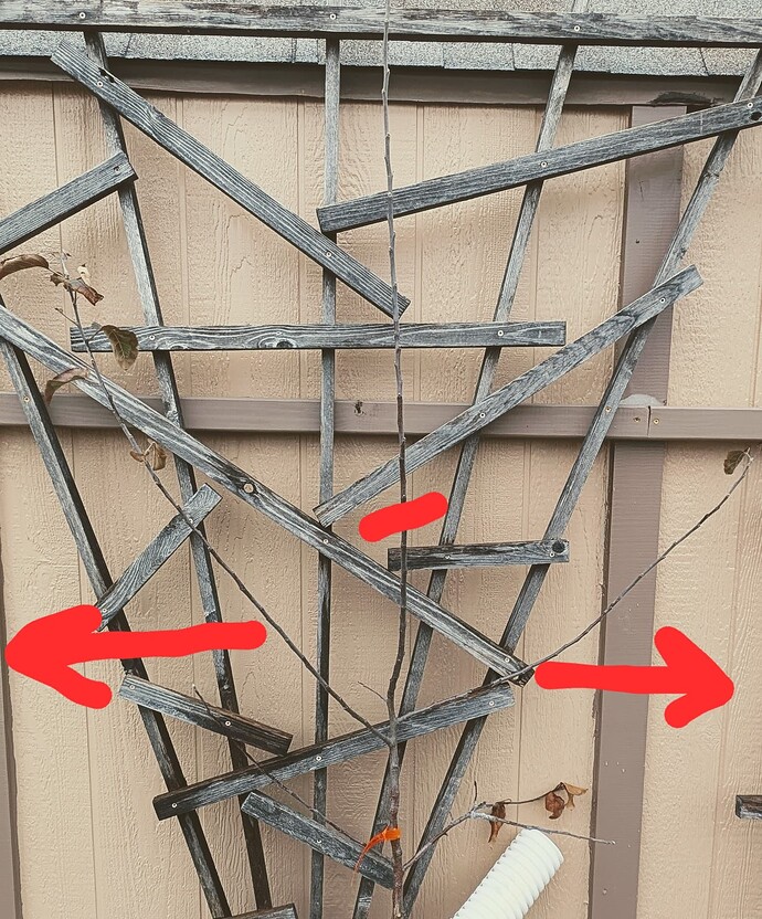 PXL_20260103_180139891-EDIT