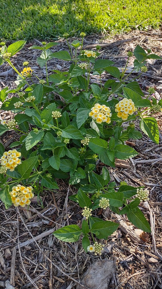 IMG_20250718_170834890_HDR