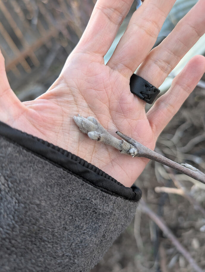 PXL_20260301_004031992