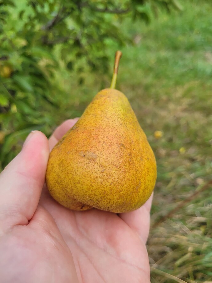 b61b4d11b053bcca823e8005177463ea3c8473ca_2_1380x1840