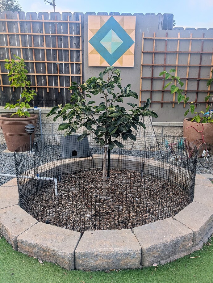 PXL_20251007_004454003~2