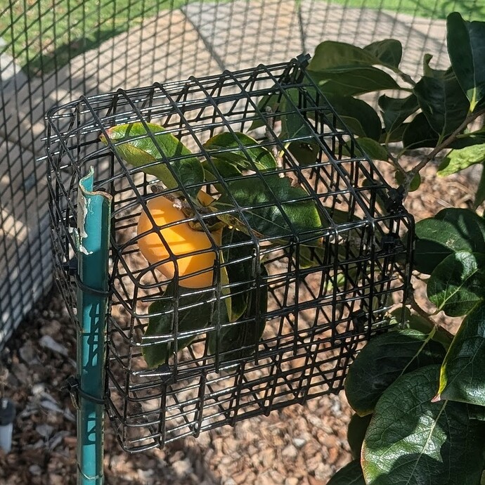 PXL_20251006_215054994~2