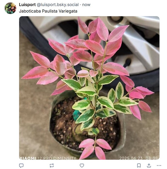 WhatsApp Image 2025-11-29 at 16.11.21