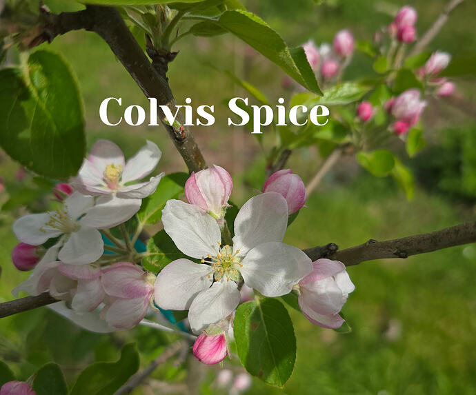 20260410_140148 (2026-04-11T13_44_27.278)