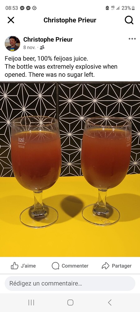 Screenshot_20251125_085302_Facebook