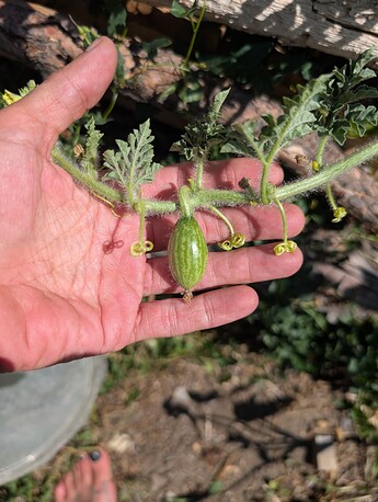 PXL_20250724_220633528