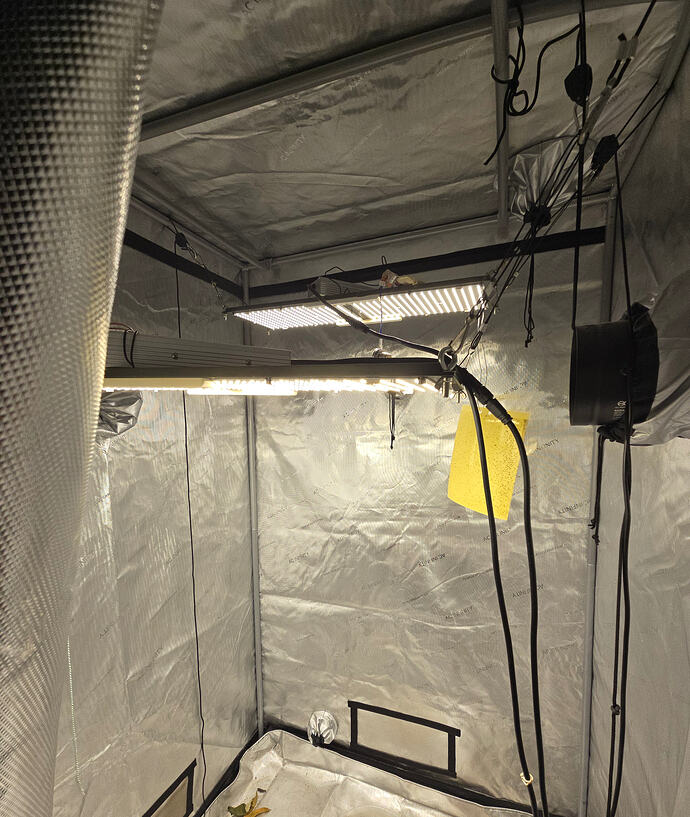 20260331_113837 (2026-03-31T18_51_41.427)