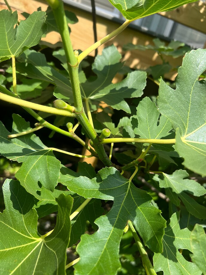 2025-06-19_15-03-17_780