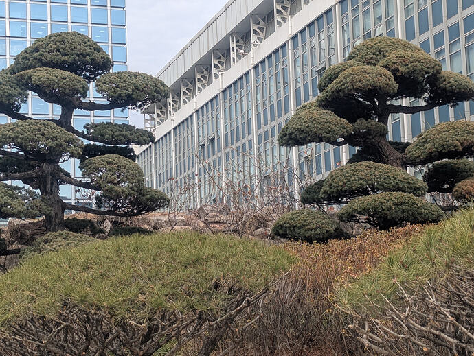 PXL_20260227_043811734