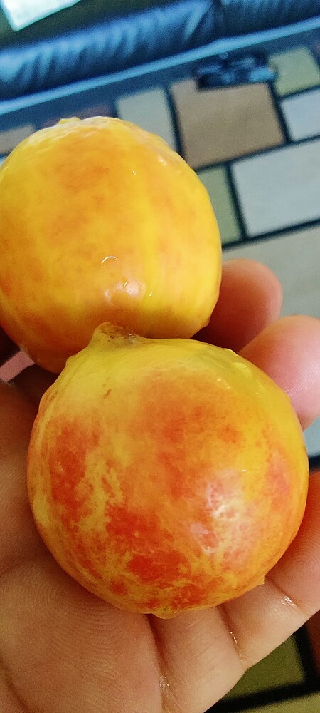 IMG_20250915_1532571