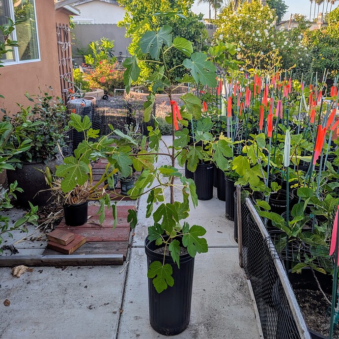 PXL_20250704_012758068~2