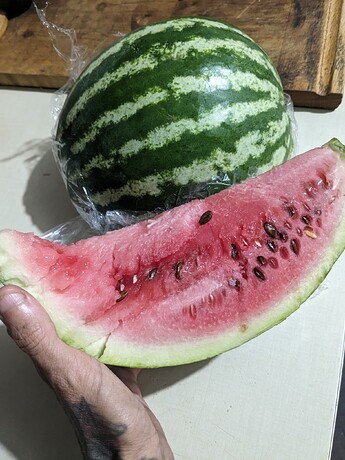 QVZna3hpSm5DcHhzcnotbkxmZTFLelJa