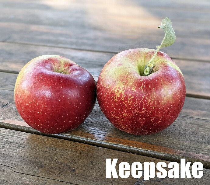 Keepsake_2025