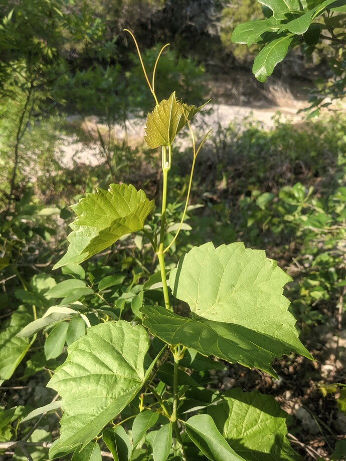 PXL_20210508_232714323