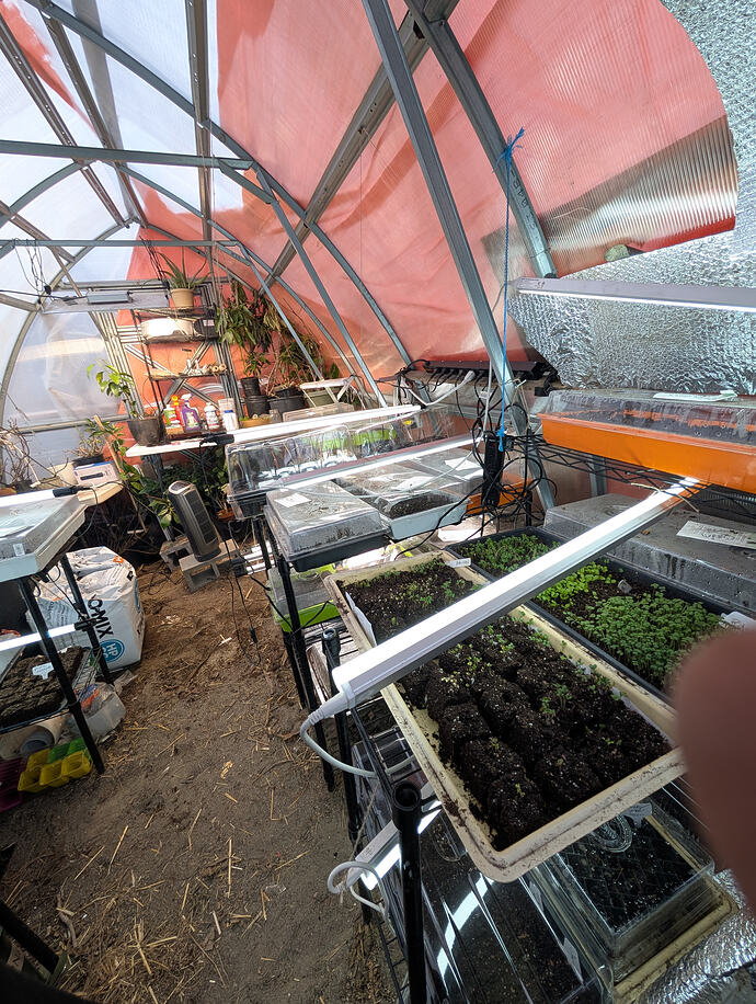 PXL_20260213_235556155