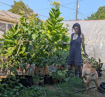 PXL_20250907_211948176