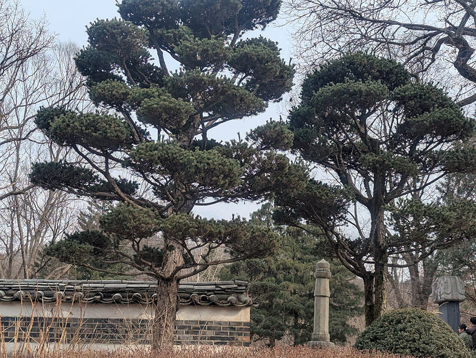 PXL_20260301_055415956