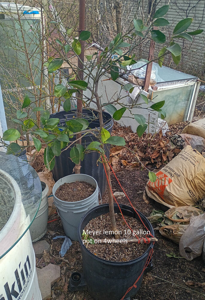 IMG_20260318_174019932_HDR