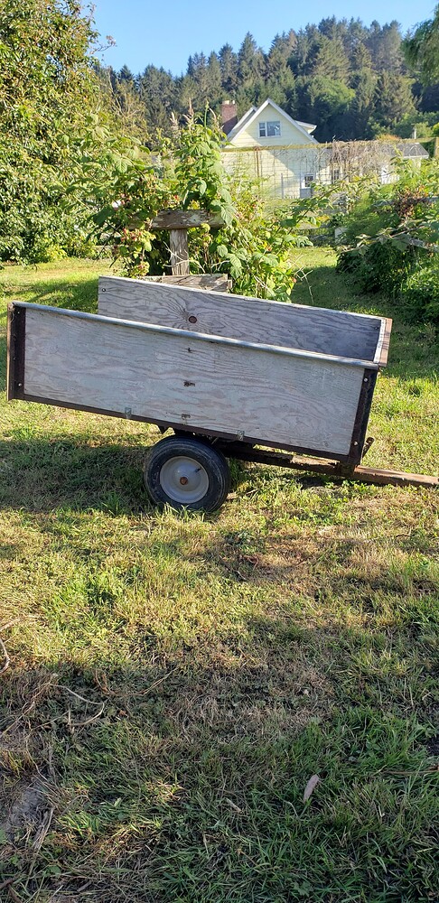 17511607207137162391192100882474