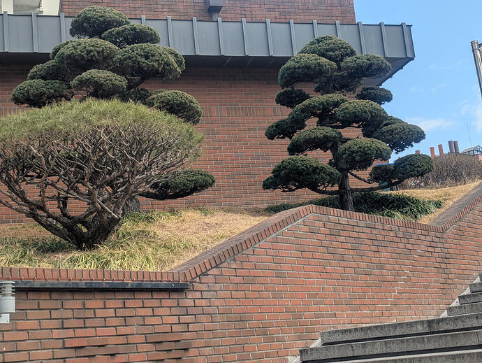 PXL_20260227_043756638