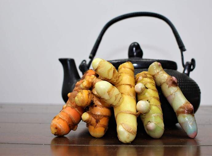 Tumeric-Rainbow-Rhizomes-Teapot-