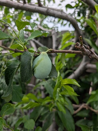 PXL_20250718_232120828