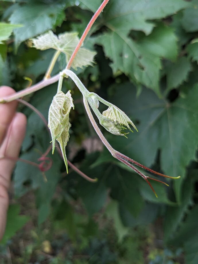 PXL_20250706_211533799