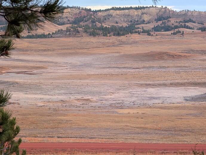 PXL_20251118_140200780