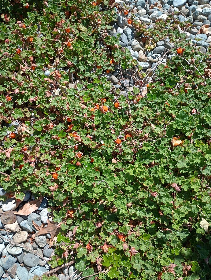 IMG_20250715_121405800_HDR