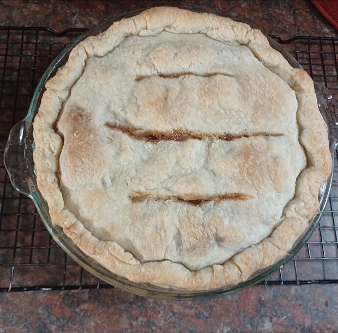 Screenshot_20250824_180443_Gallery