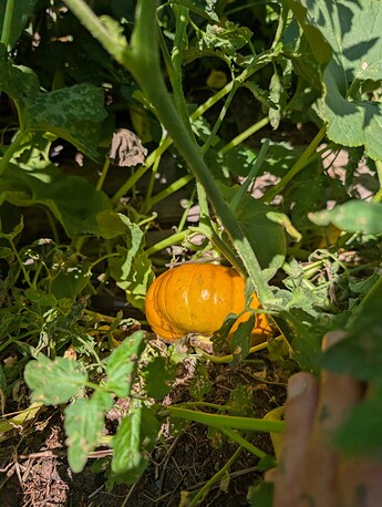 PXL_20250724_213244038