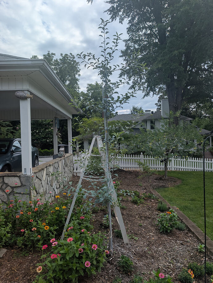 PXL_20260628_143337353