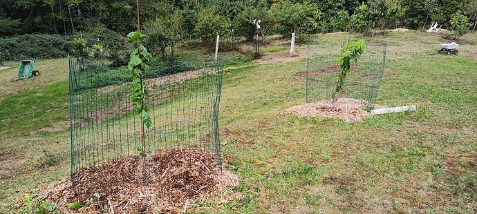 IMG_20251004_153520125
