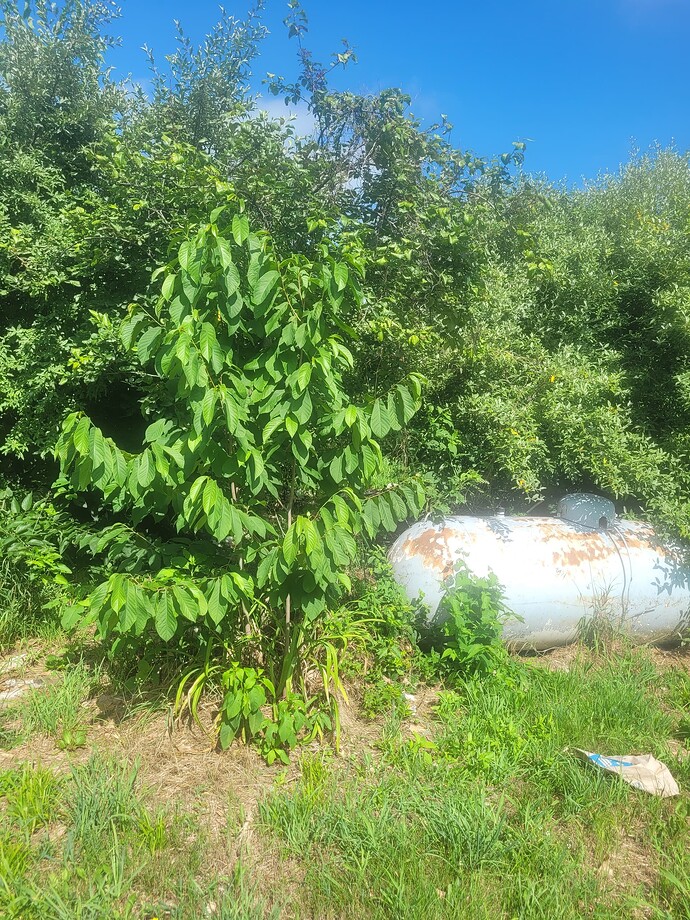20250628_101048