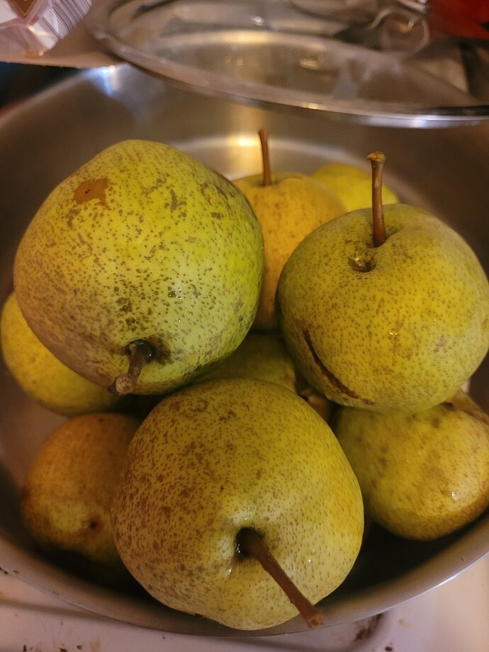 0822e0ea5ca9ab59fadf9f2eea11b2668a0c2db0_2_1380x1840