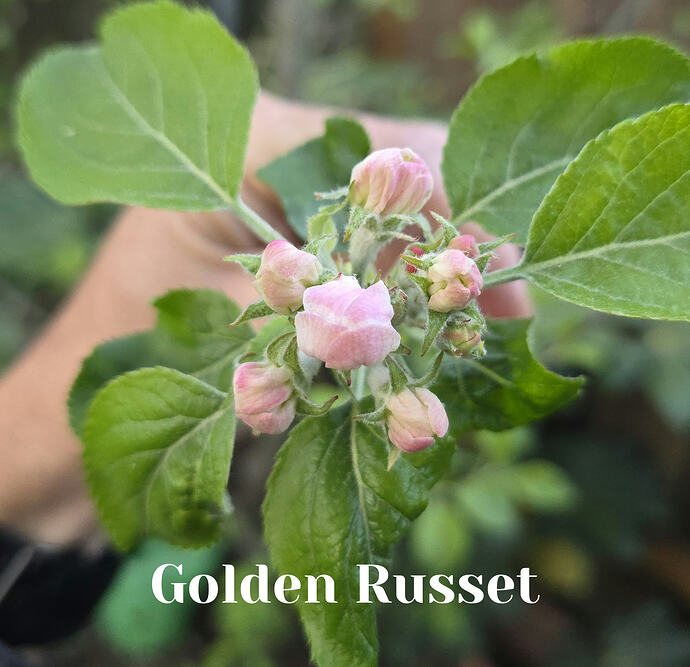 20260408_065156_edit_1775656907306