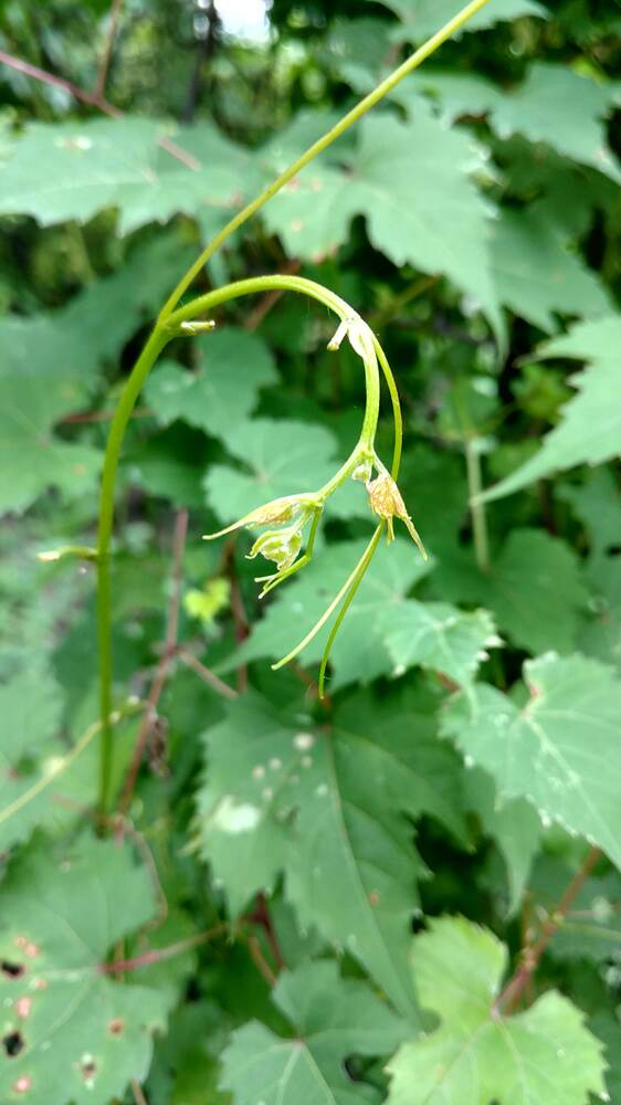 IMG_20180708_112915956_HDR