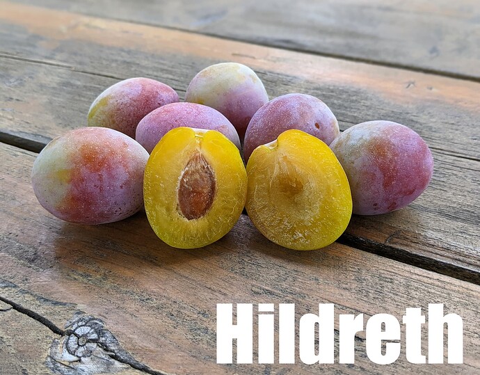 Hildreth_2025
