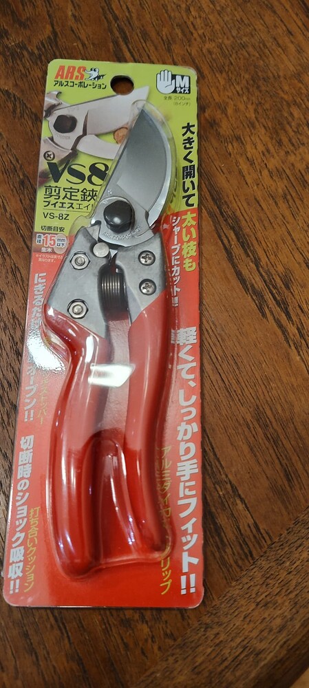 IMG_20260109_185228233_HDR1