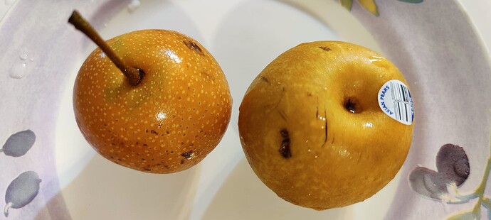 IMG_20250813_1421411