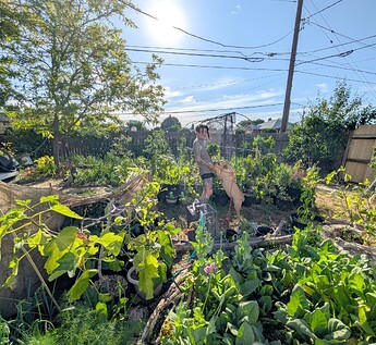 PXL_20250611_005240003~2