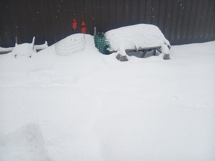 17686858882457886426261553256952