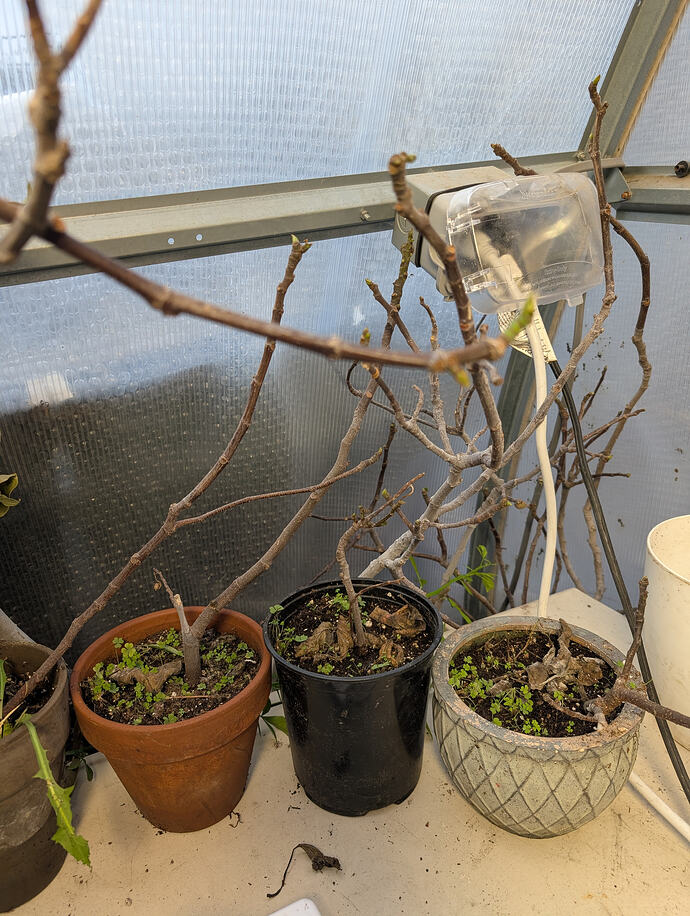 PXL_20260213_235904802