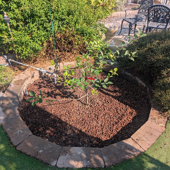 PXL_20250807_232432570