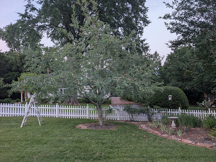 PXL_20260627_004627817