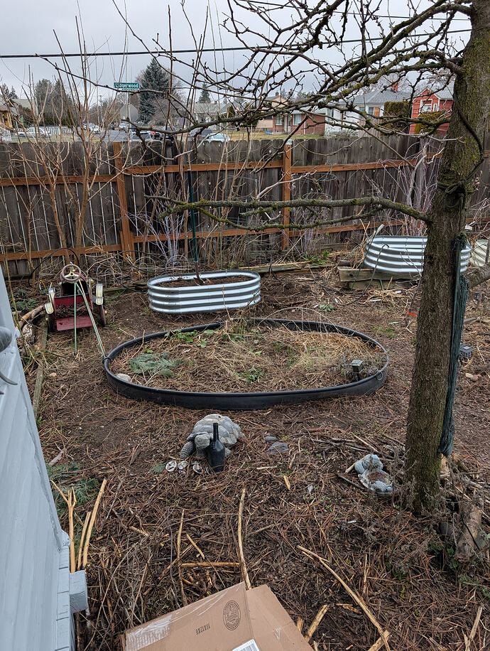 PXL_20260208_190250438