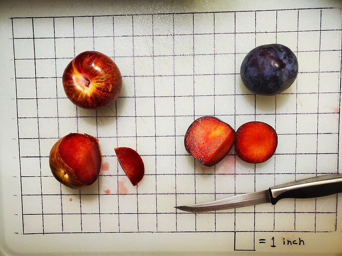 plumogranate -pluot